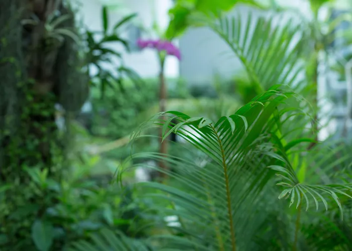 Hotel Marvel Siem Reap